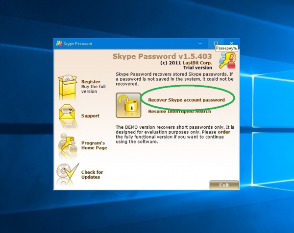Skype Password