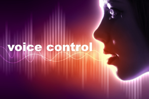 Voice control