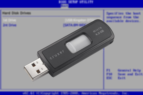 Как загрузиться с DVD-диска или USB Flash (флешки)